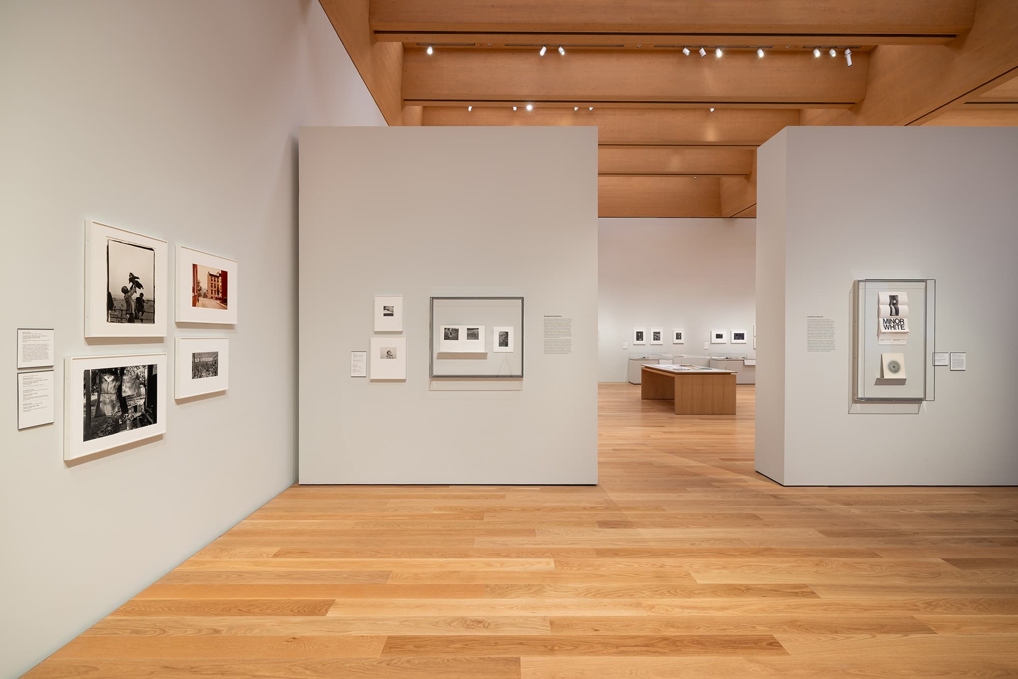 Minor White, Siskind & Callahan Survey Opens at Princeton