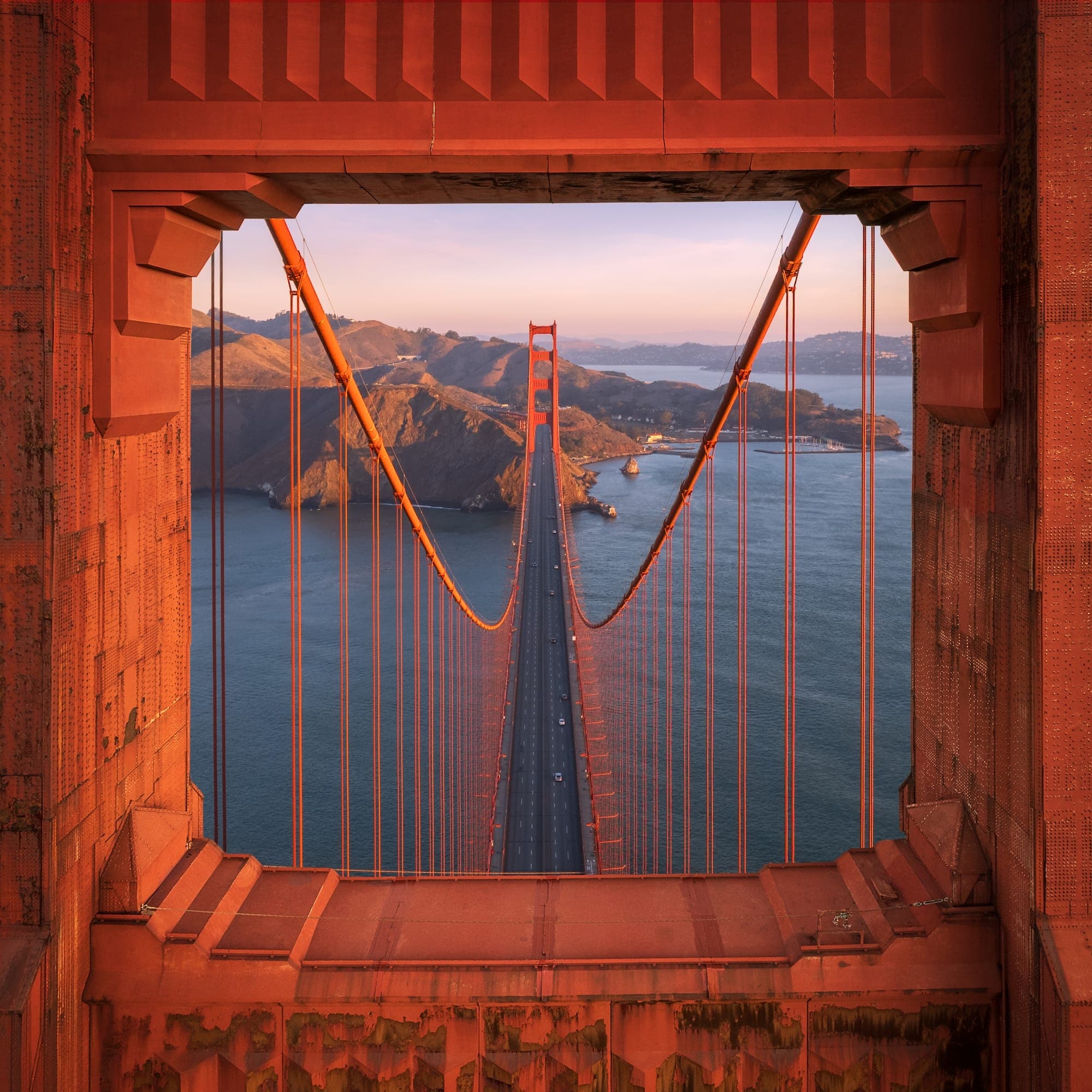 2026 International Aerial Photographer of the Year: 101 Finalists