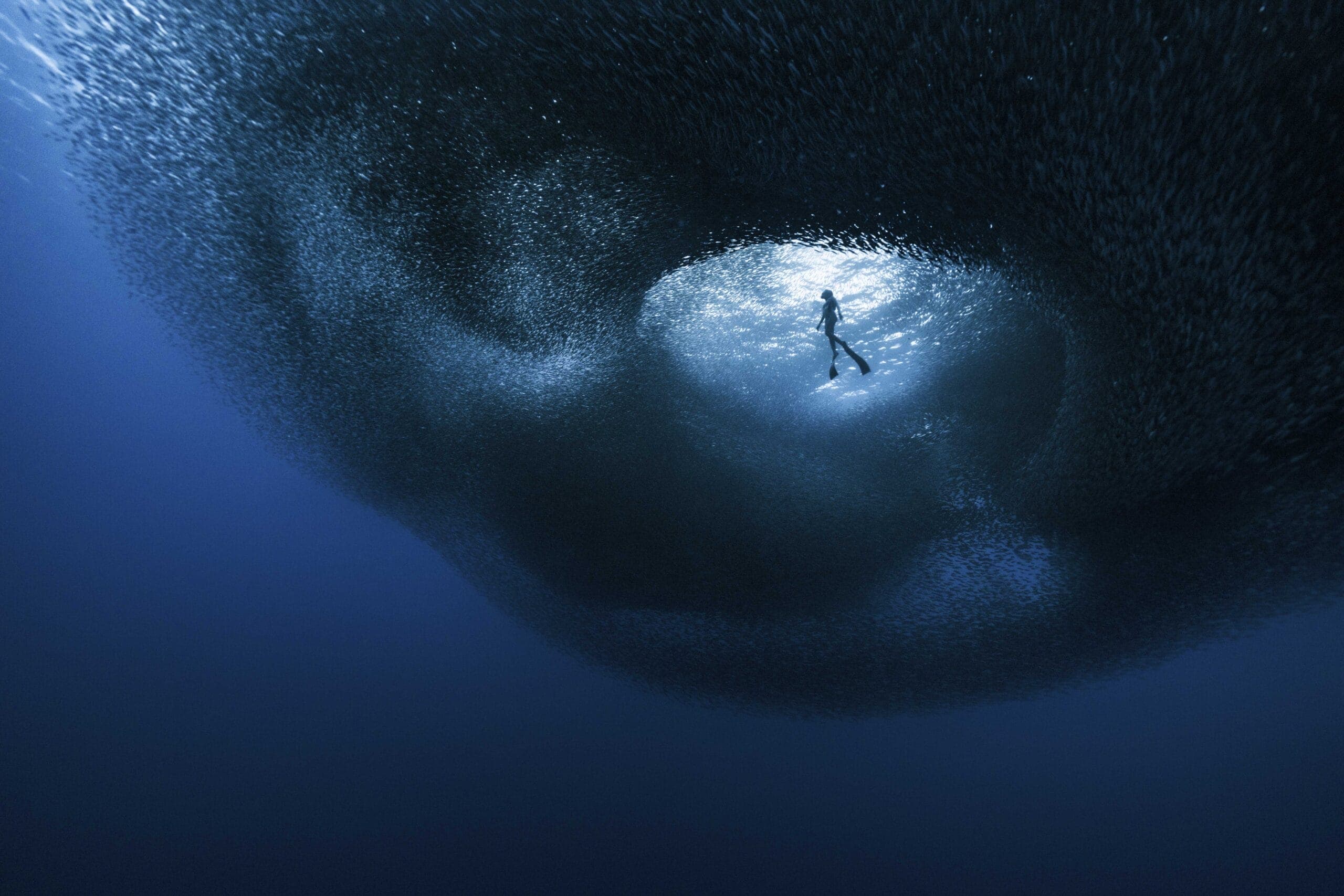 Ocean Photographer of the Year 2025 Finalists Revealed